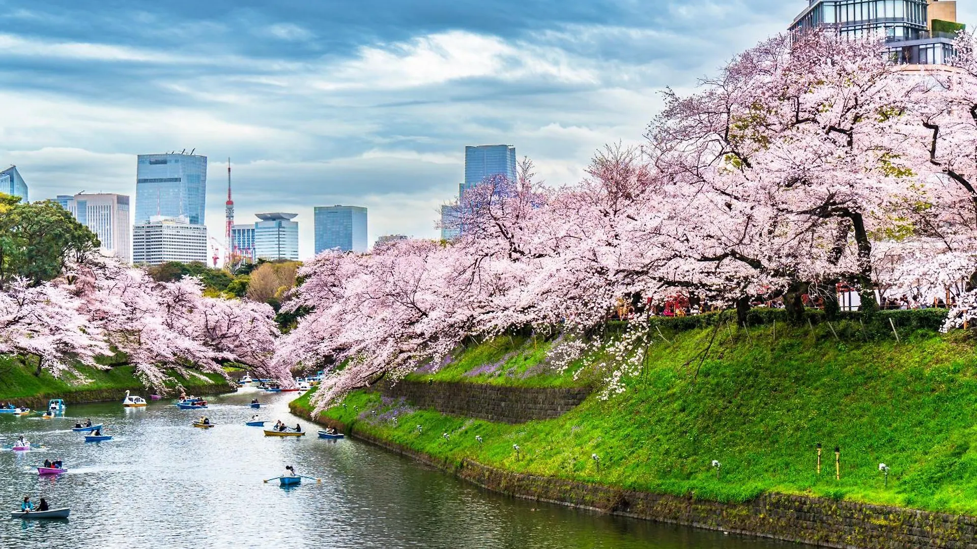 Tokyo Private House 大塚の宿 0*,  Japan